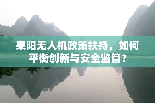耒阳无人机政策扶持，如何平衡创新与安全监管？