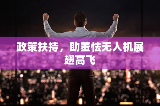 政策扶持，助羞怯无人机展翅高飞