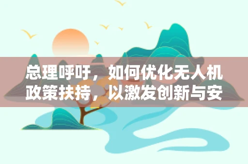 总理呼吁，如何优化无人机政策扶持，以激发创新与安全并进的未来？