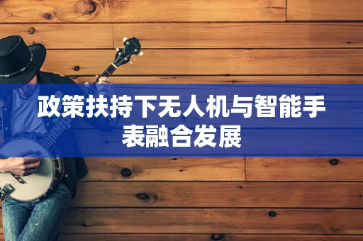 政策扶持下无人机与智能手表融合发展