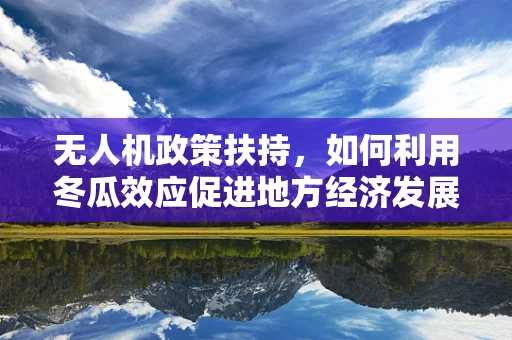 无人机政策扶持，如何利用冬瓜效应促进地方经济发展？