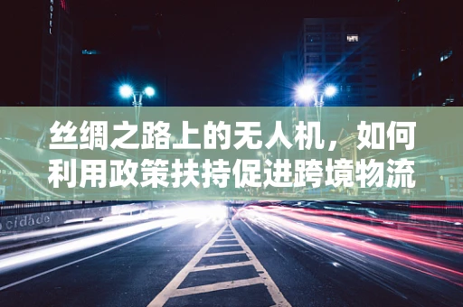 丝绸之路上的无人机，如何利用政策扶持促进跨境物流与文化交流的融合？