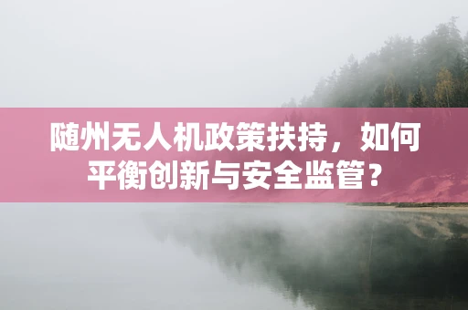 随州无人机政策扶持，如何平衡创新与安全监管？
