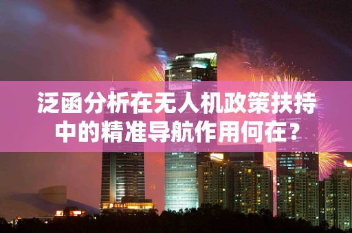 泛函分析在无人机政策扶持中的精准导航作用何在？