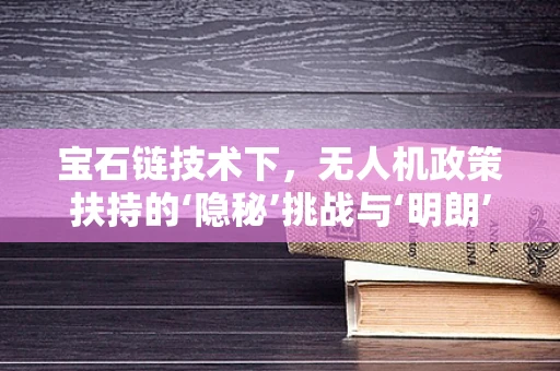 宝石链技术下，无人机政策扶持的‘隐秘’挑战与‘明朗’前景