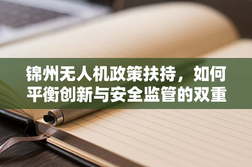 锦州无人机政策扶持，如何平衡创新与安全监管的双重考量？