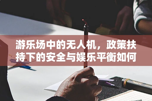 游乐场中的无人机，政策扶持下的安全与娱乐平衡如何实现？