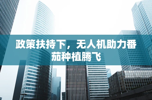 政策扶持下，无人机助力番茄种植腾飞