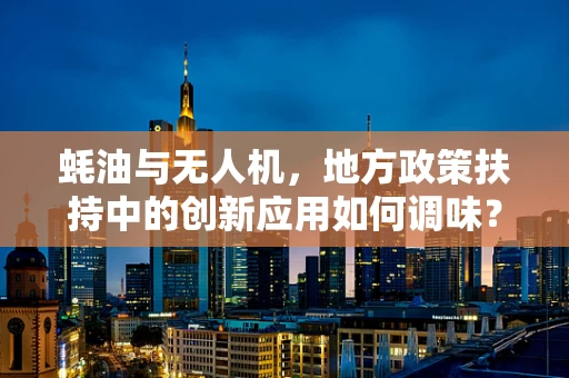 蚝油与无人机，地方政策扶持中的创新应用如何调味？