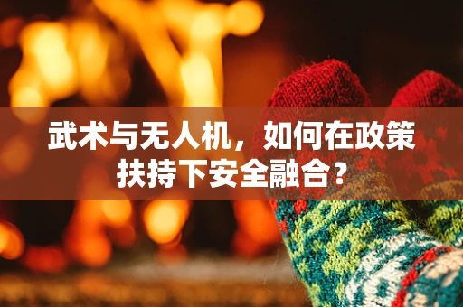 武术与无人机，如何在政策扶持下安全融合？