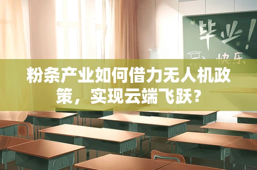 粉条产业如何借力无人机政策，实现云端飞跃？