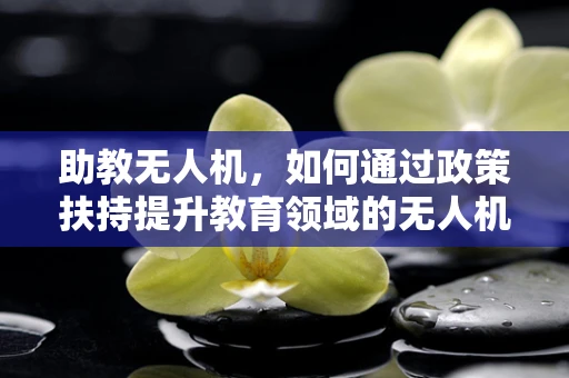 助教无人机，如何通过政策扶持提升教育领域的无人机应用？