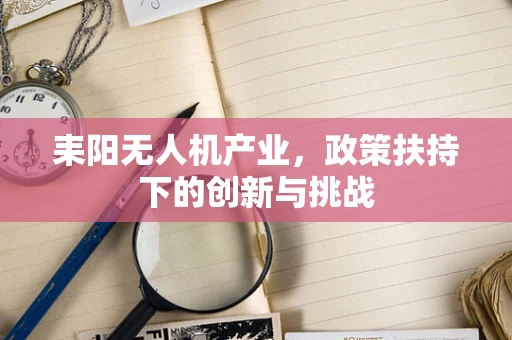 耒阳无人机产业，政策扶持下的创新与挑战