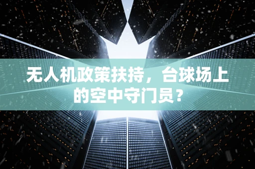 无人机政策扶持，台球场上的空中守门员？