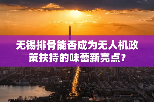 无锡排骨能否成为无人机政策扶持的味蕾新亮点？
