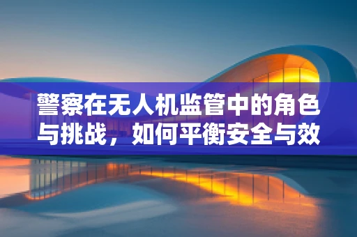 警察在无人机监管中的角色与挑战，如何平衡安全与效率？