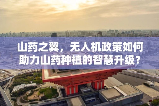 山药之翼，无人机政策如何助力山药种植的智慧升级？