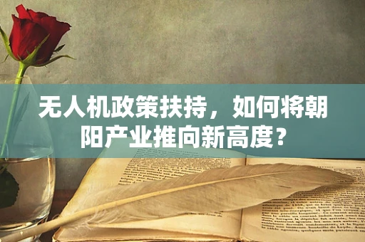 无人机政策扶持，如何将朝阳产业推向新高度？