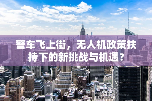 警车飞上街，无人机政策扶持下的新挑战与机遇？