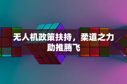 无人机政策扶持，柔道之力助推腾飞
