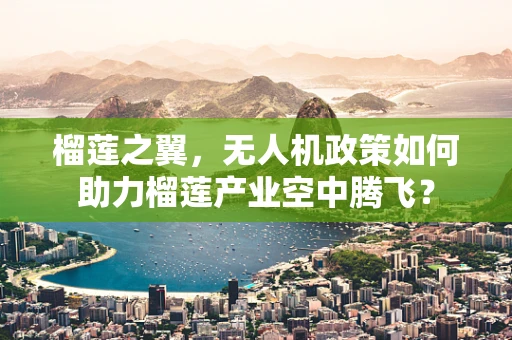 榴莲之翼，无人机政策如何助力榴莲产业空中腾飞？