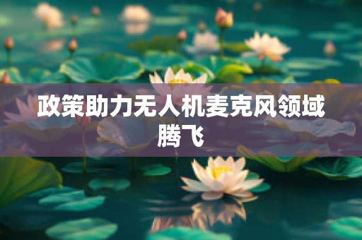 政策助力无人机麦克风领域腾飞