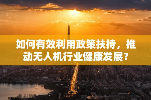 如何有效利用政策扶持，推动无人机行业健康发展？