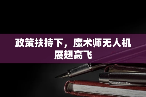 政策扶持下，魔术师无人机展翅高飞