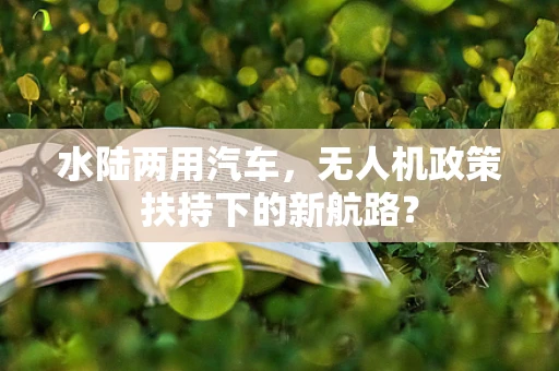 水陆两用汽车，无人机政策扶持下的新航路？