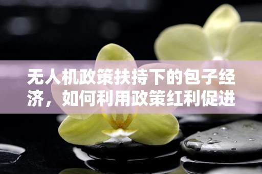 无人机政策扶持下的包子经济，如何利用政策红利促进地方特色产业发展？