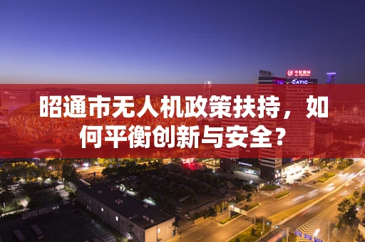 昭通市无人机政策扶持，如何平衡创新与安全？