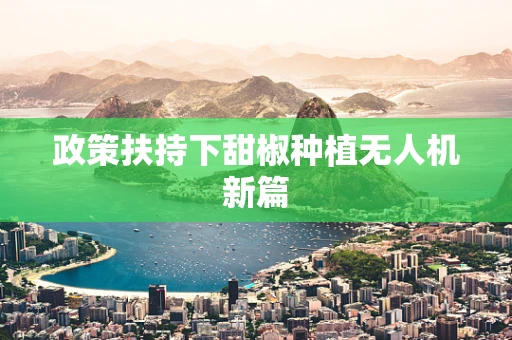 政策扶持下甜椒种植无人机新篇