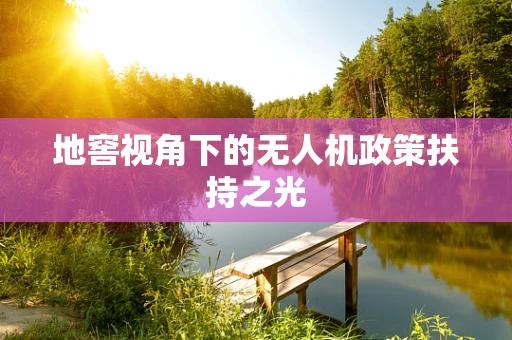 地窖视角下的无人机政策扶持之光