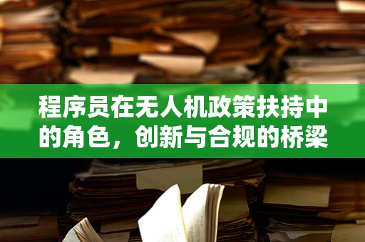 程序员在无人机政策扶持中的角色，创新与合规的桥梁？