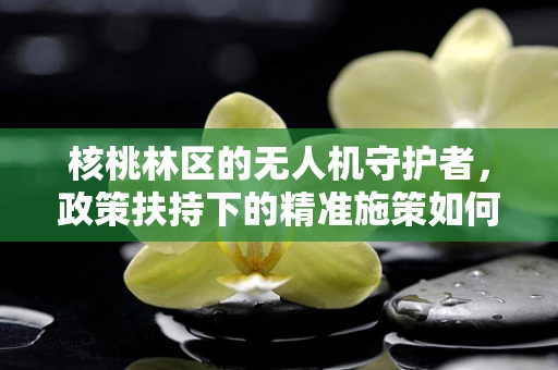 核桃林区的无人机守护者，政策扶持下的精准施策如何落地？