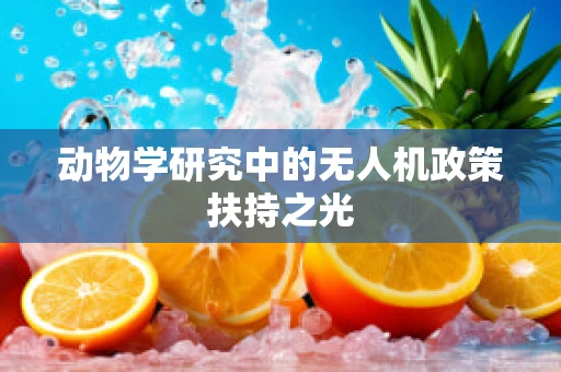 动物学研究中的无人机政策扶持之光