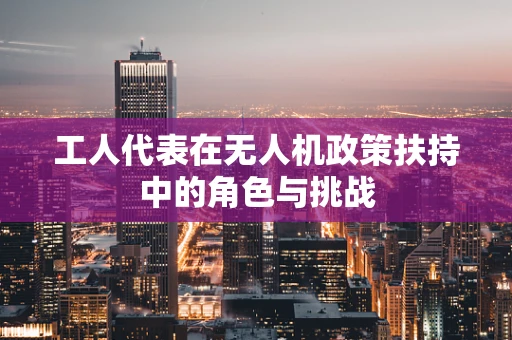 工人代表在无人机政策扶持中的角色与挑战