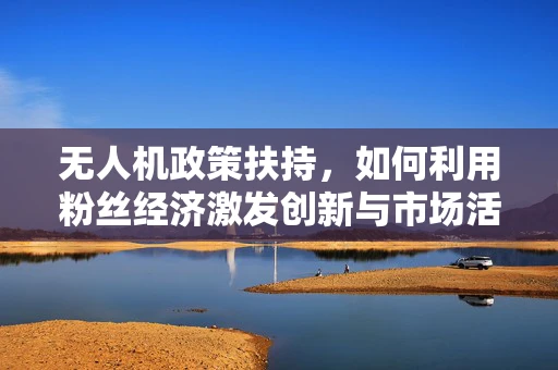 无人机政策扶持，如何利用粉丝经济激发创新与市场活力？