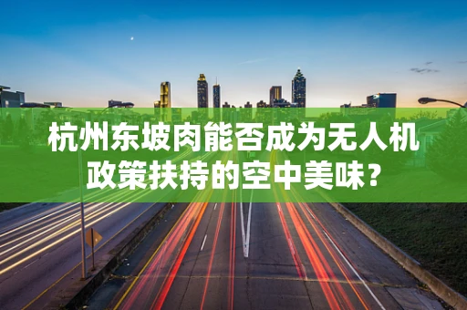 杭州东坡肉能否成为无人机政策扶持的空中美味？