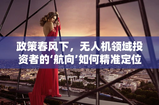 政策春风下，无人机领域投资者的‘航向’如何精准定位？