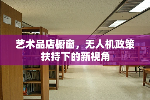 艺术品店橱窗，无人机政策扶持下的新视角