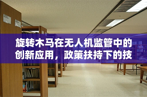 旋转木马在无人机监管中的创新应用，政策扶持下的技术难题与解决方案