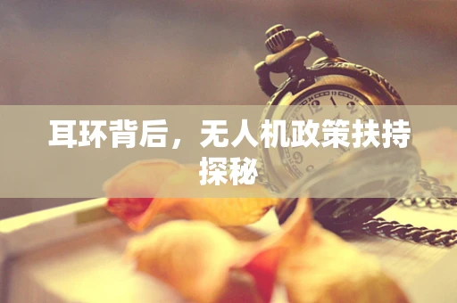 耳环背后，无人机政策扶持探秘