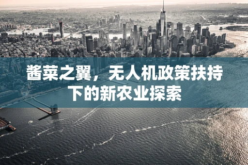酱菜之翼，无人机政策扶持下的新农业探索