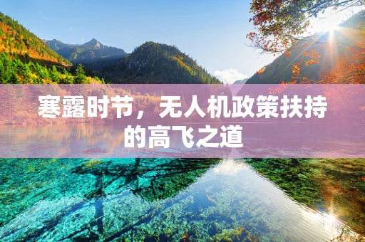寒露时节，无人机政策扶持的高飞之道