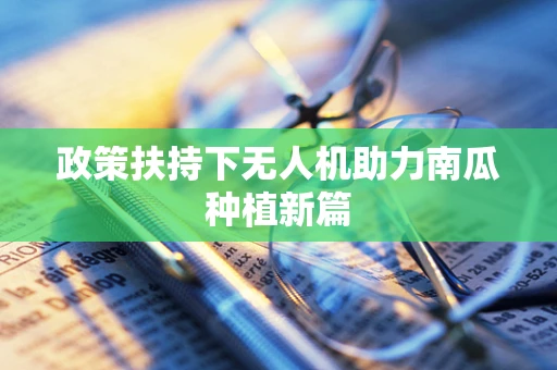 政策扶持下无人机助力南瓜种植新篇