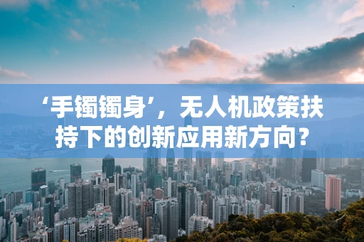 ‘手镯镯身’，无人机政策扶持下的创新应用新方向？