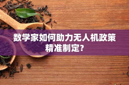 数学家如何助力无人机政策精准制定？