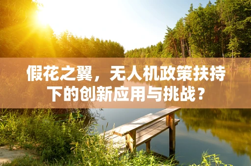 假花之翼，无人机政策扶持下的创新应用与挑战？
