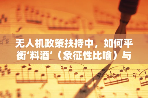 无人机政策扶持中，如何平衡‘料酒’（象征性比喻）与飞行安全？